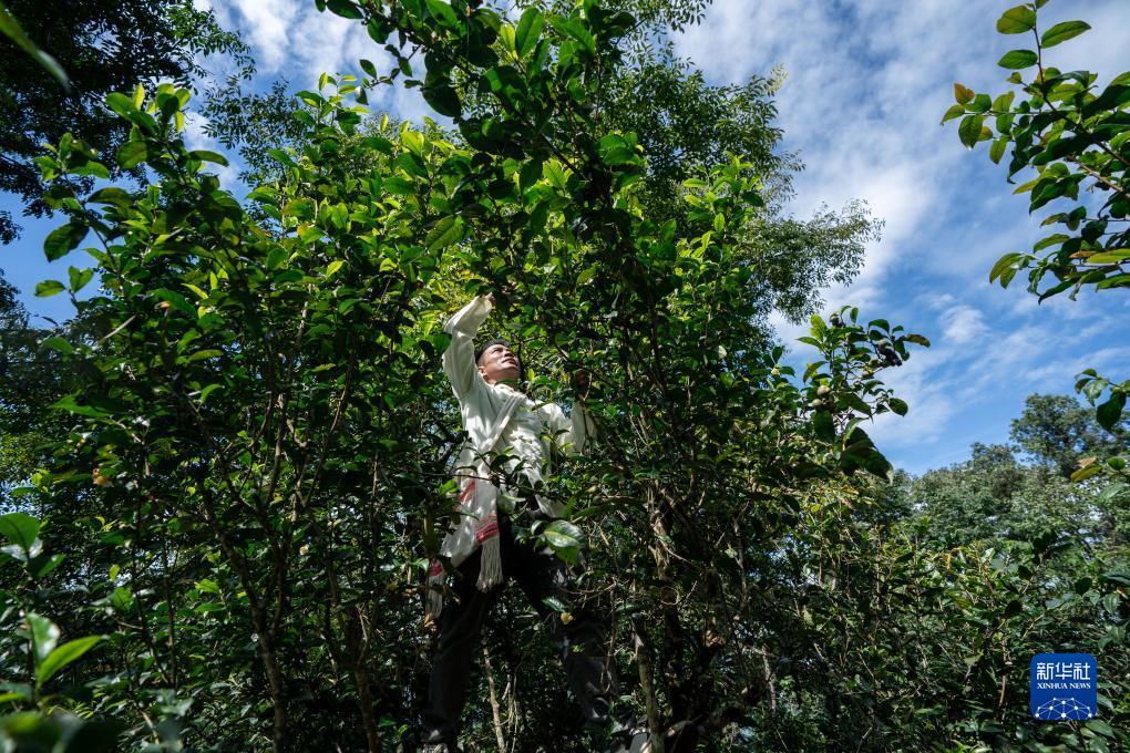 易游菲律宾游戏平台